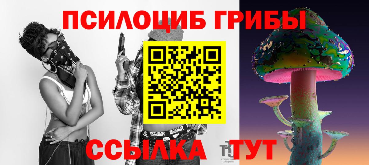 Галлюциногенные грибы Cubensis Армавир