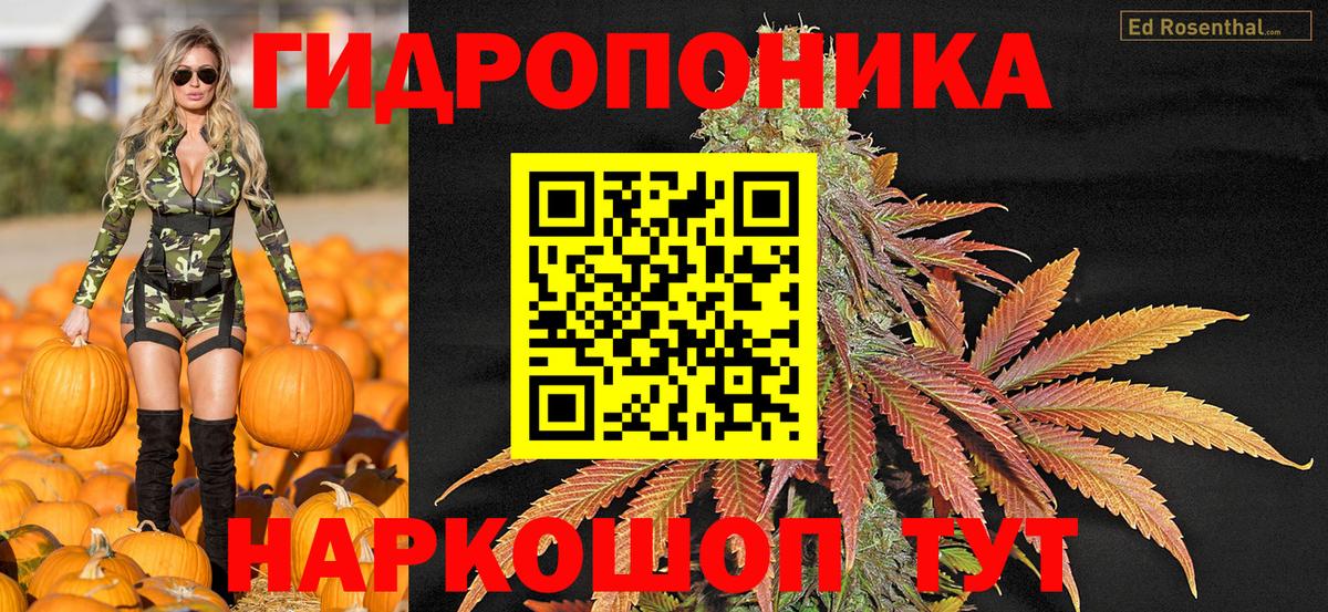 Армавир  Каннабис план  Конопля SATIVA & INDICA  Вход с VPN  Шишки марихуана Ganja  Канабис Ganja 